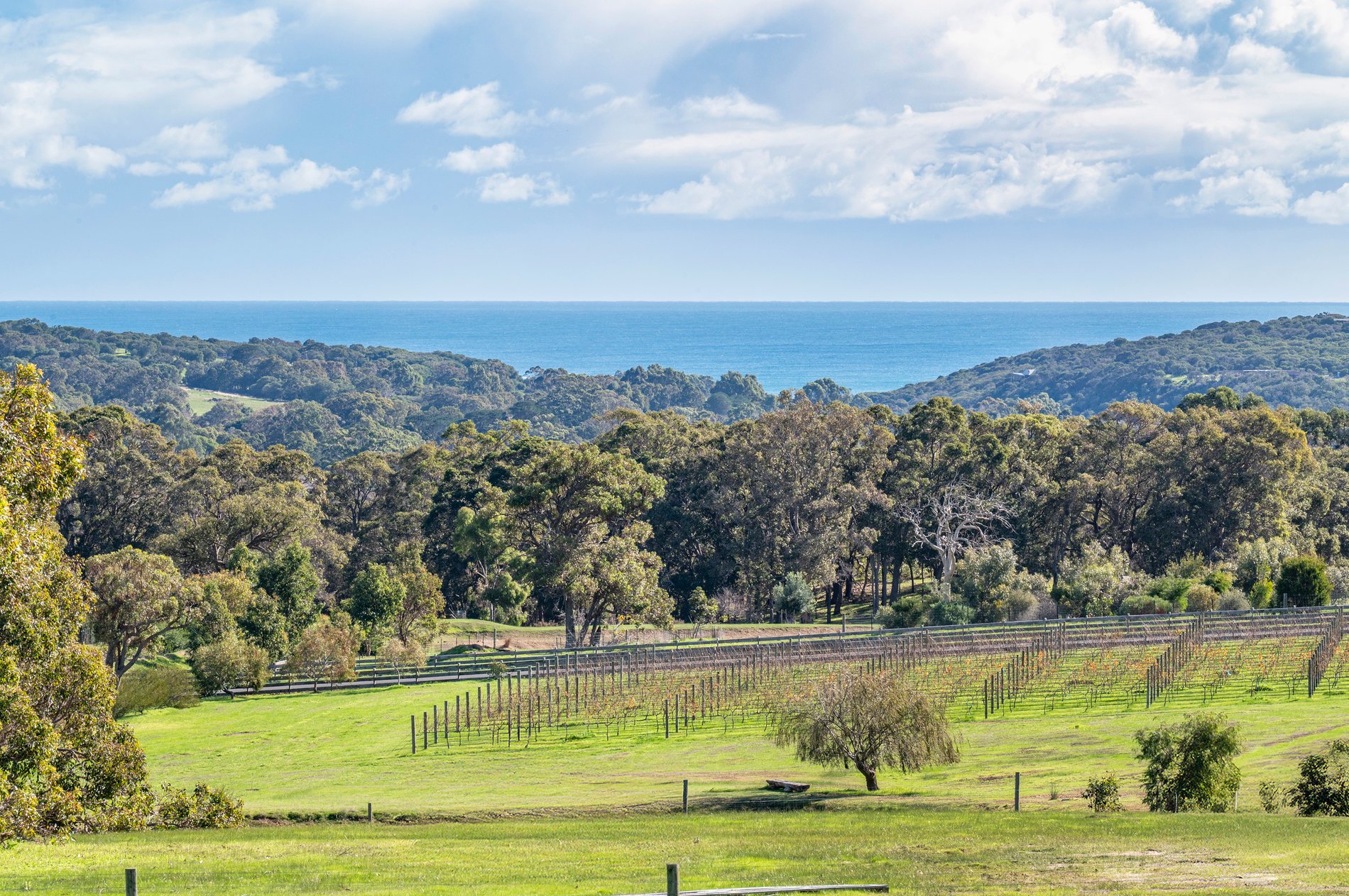115 Dryandra Avenue, YALLINGUP WA 6282