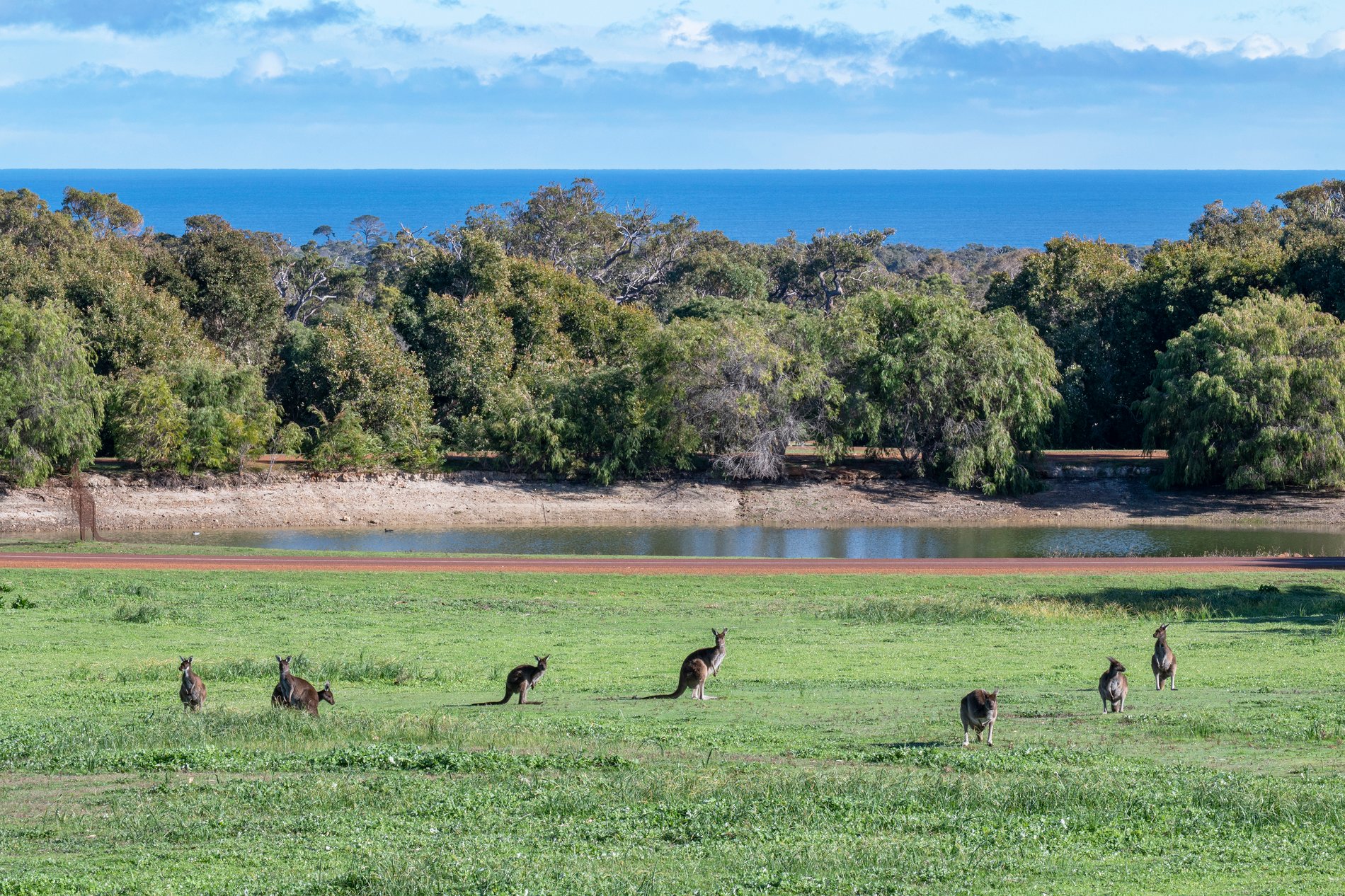 234 Sheoak Drive, YALLINGUP WA 6282